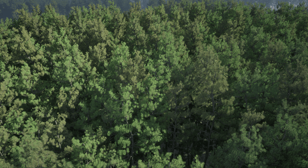 Nanite pine forest scene in Unreal Engine 5