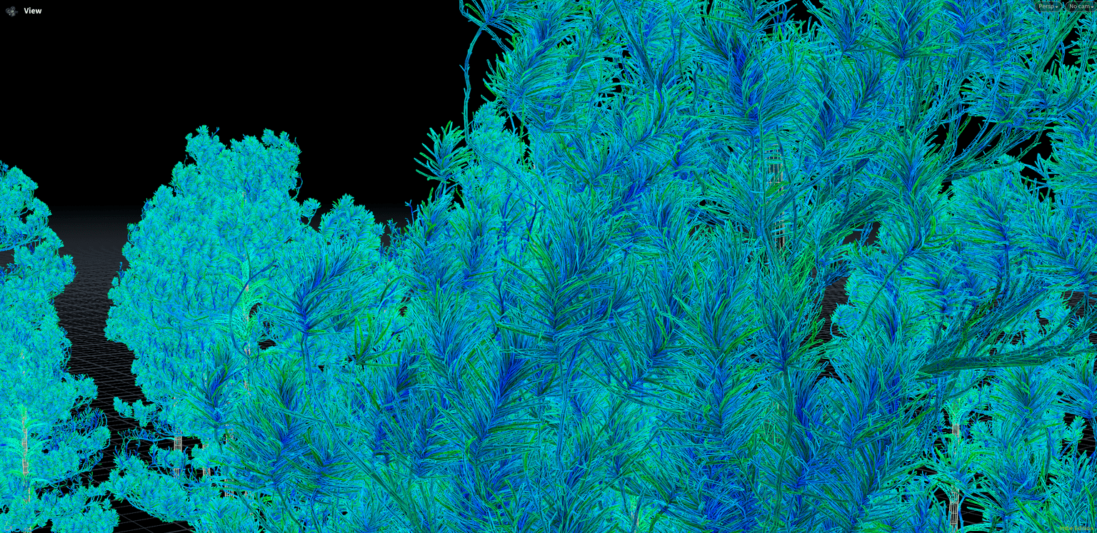 High-detail pine tree foliage ready for Nanite rendering