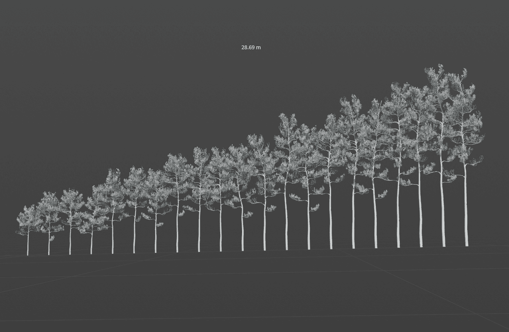 Pine forest showing species and age variation in a game environment