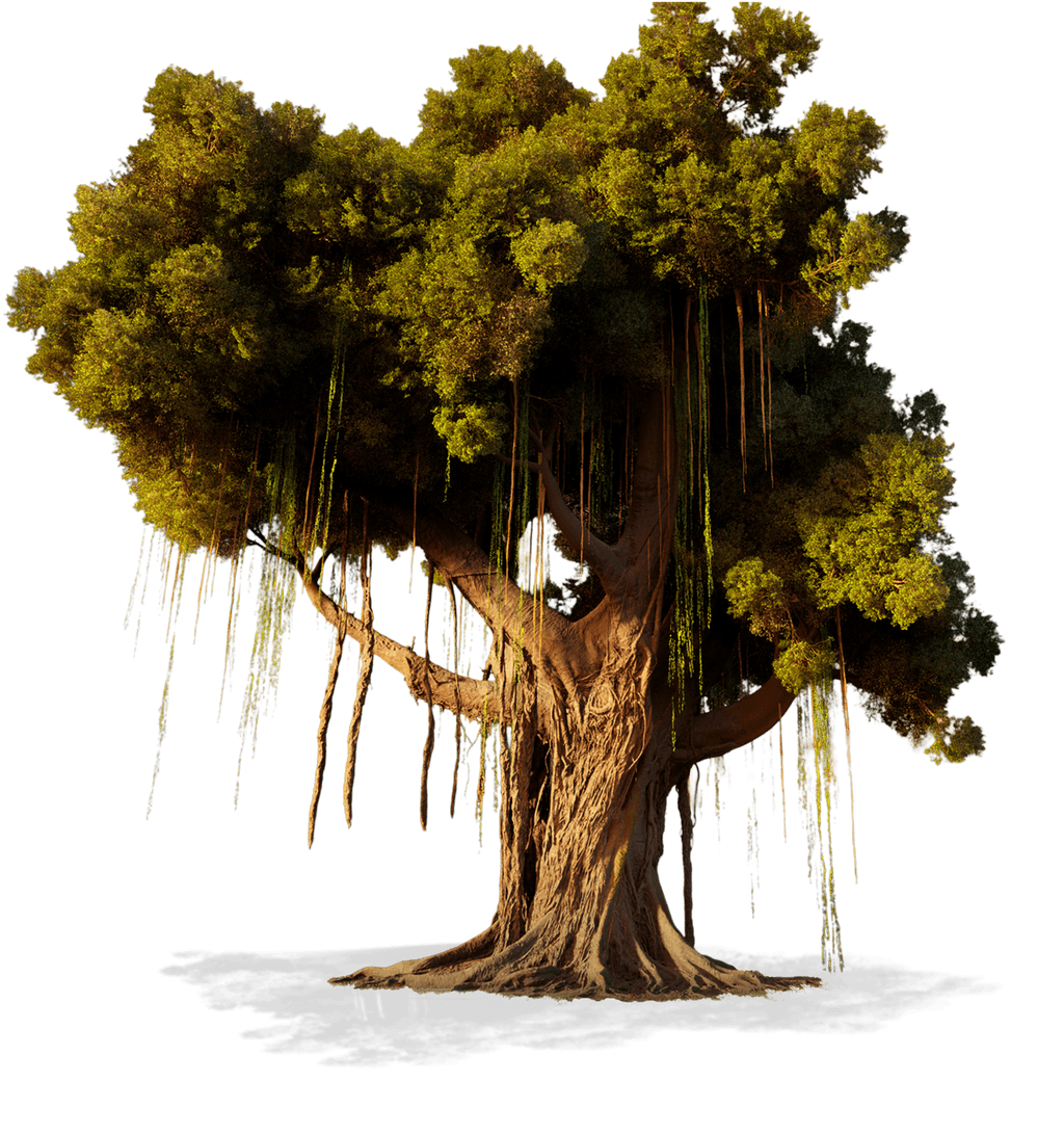 Natsura hero tree render created with Houdini foliage tools