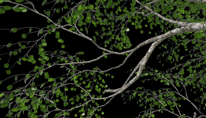 Artist posing tree branches in a Houdini viewport