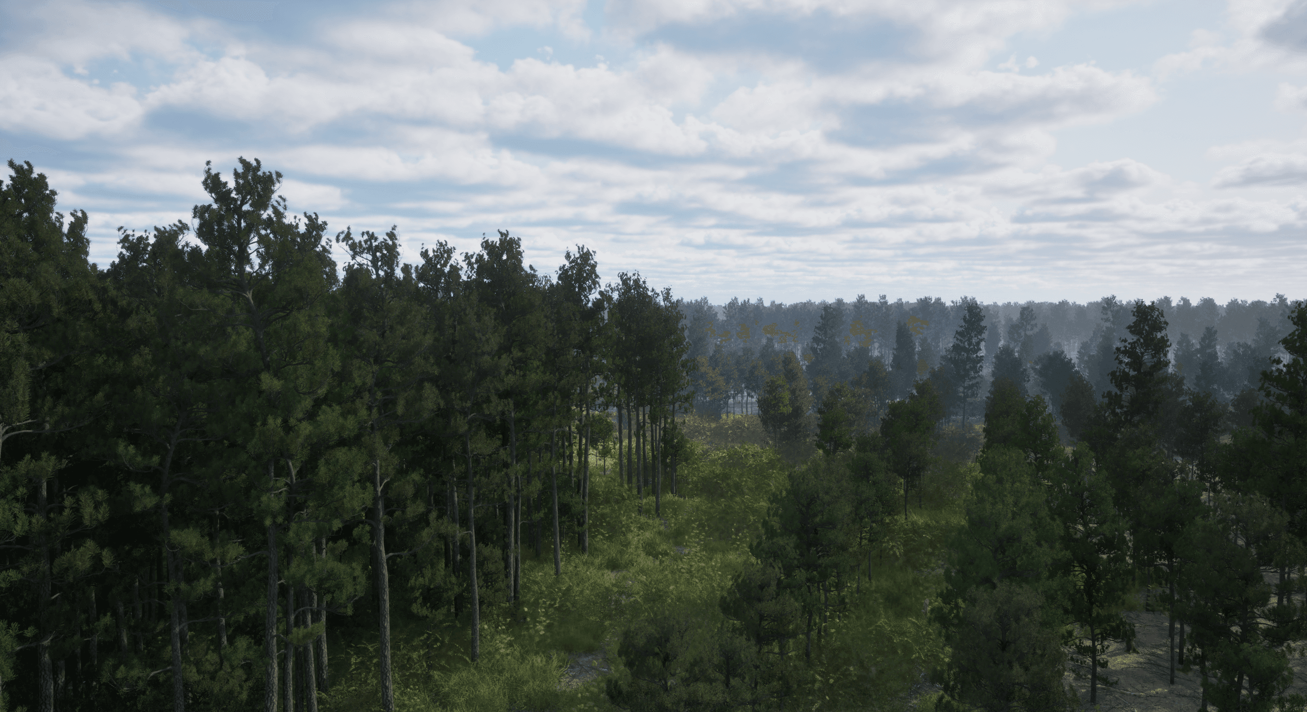 Coolant pine forest render for next-gen game and VFX environments